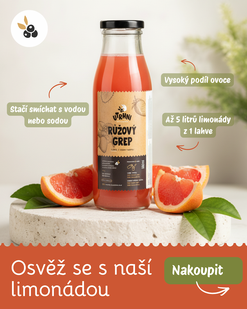 Ovoce na limonádu
